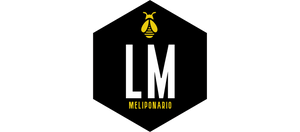 Meliponário LM